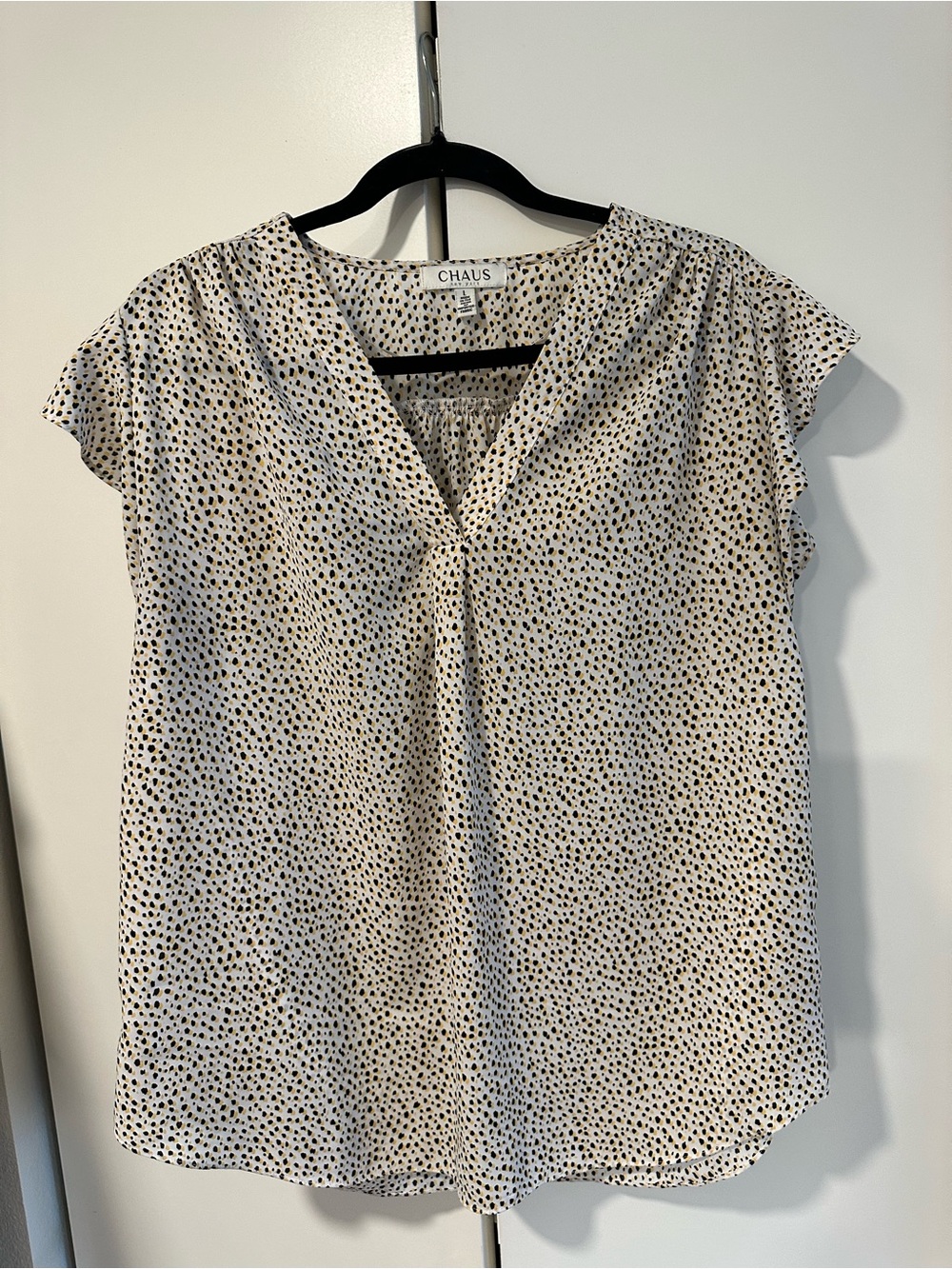 Chaus Dot Print V-Neck Blouse